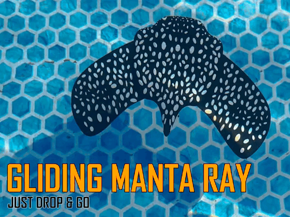 Gliding Manta Ray - shunchaki tashlab keting!